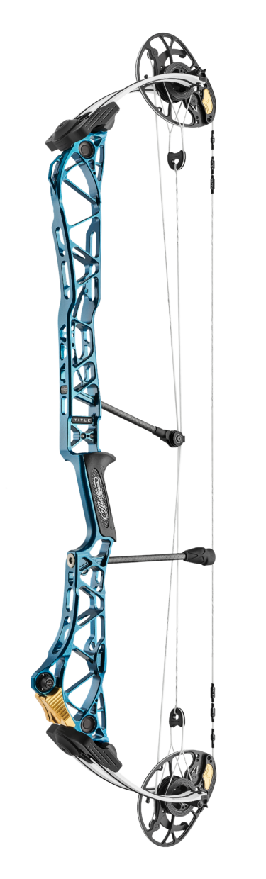 Mathews Title 38