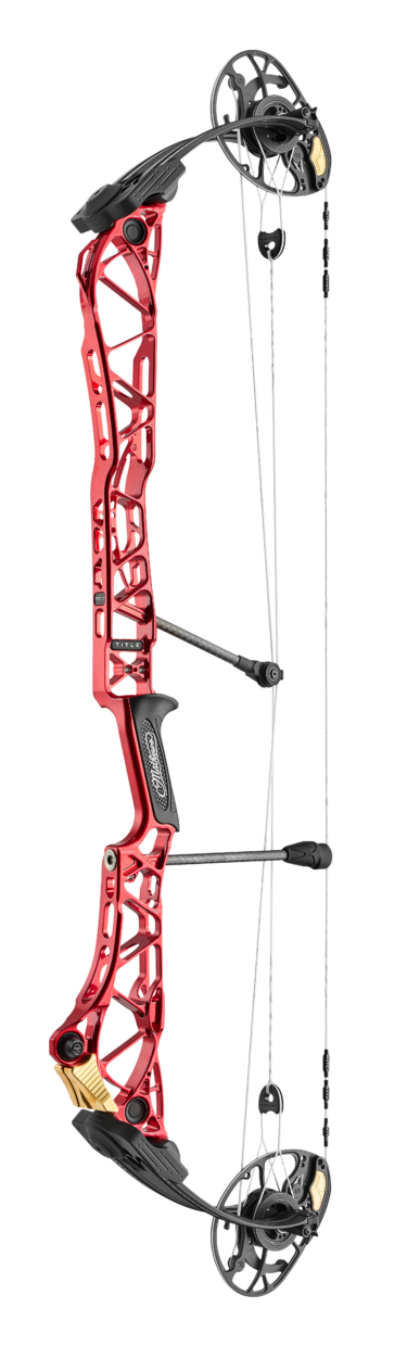 Mathews Title 38