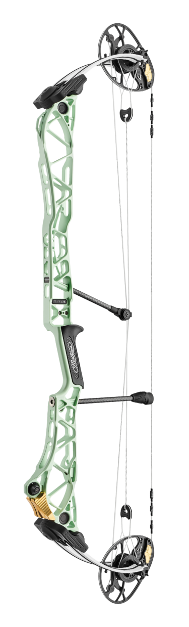 Mathews Title 38